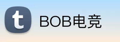 BOB电竞 Logo